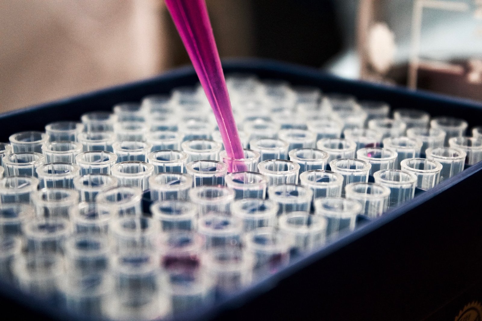 Pink liquid being pipetted into a tray of small test tubes